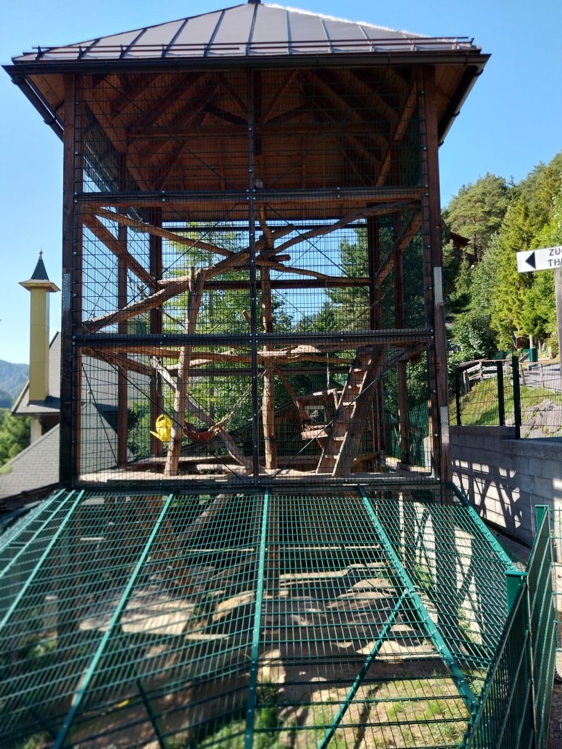 Der Weisser Zoo & Kameltheater Kernhof - Clouded leopard enclosure