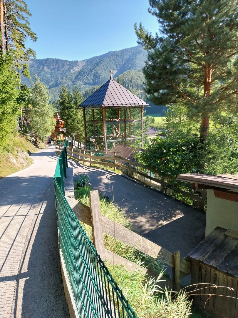 Der Weisser Zoo & Kameltheater Kernhof - Clouded leopard enclosure