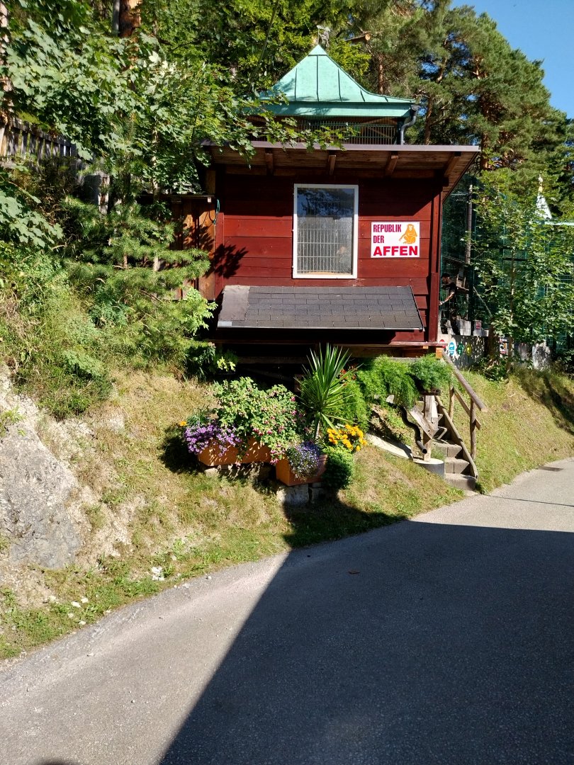 Der Weisser Zoo & Kameltheater Kernhof - Der Republik der Affen aka Barbary macaque house