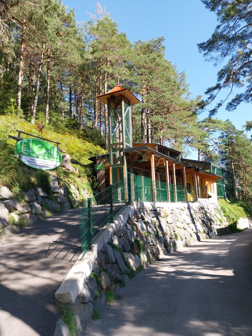 Der Weisser Zoo & Kameltheater Kernhof - El Castillo