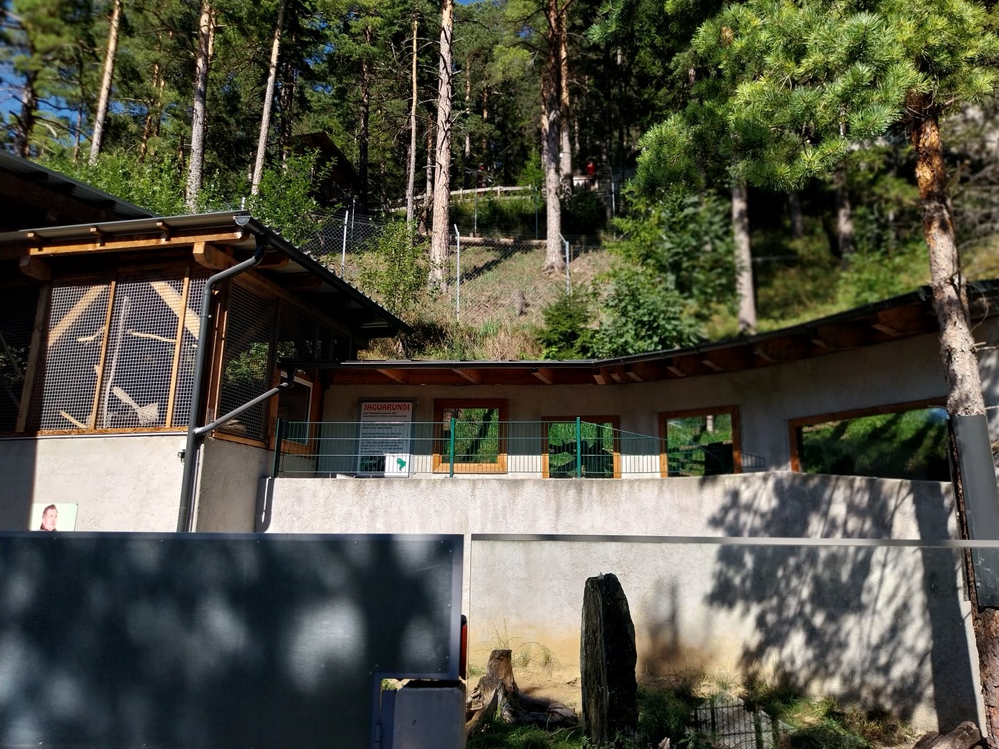 Der Weisser Zoo & Kameltheater Kernhof - Giant anteater (foreground) and jaguarundi (background) enclosure