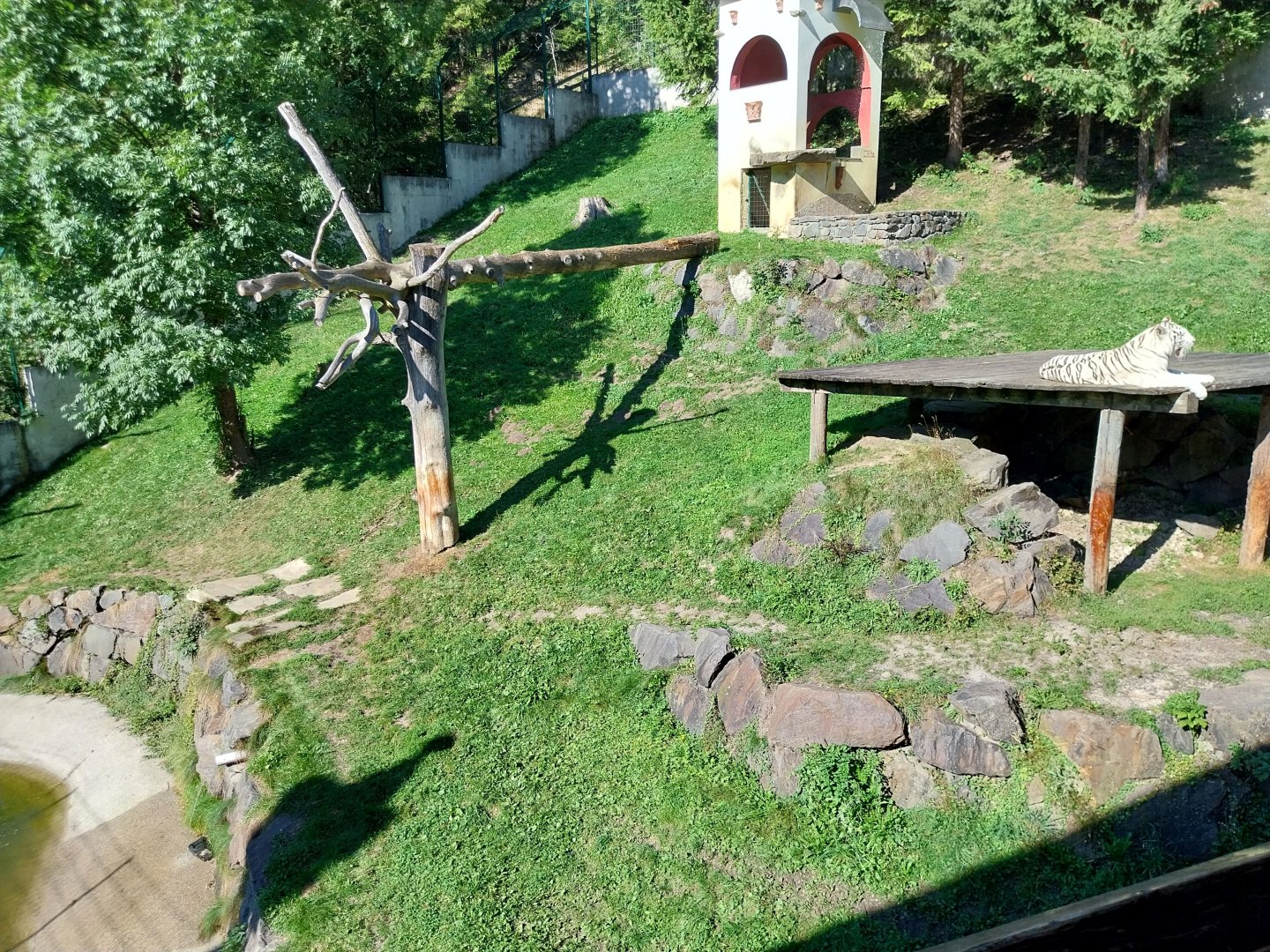 Der Weisser Zoo & Kameltheater Kernhof - Main tiger enclosure