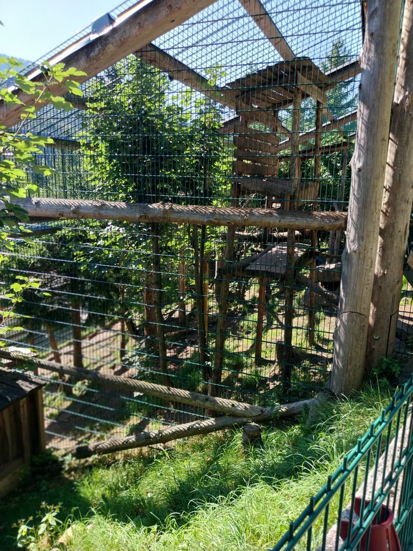 Der Weisser Zoo & Kameltheater Kernhof - North Chinese leopard enclosure