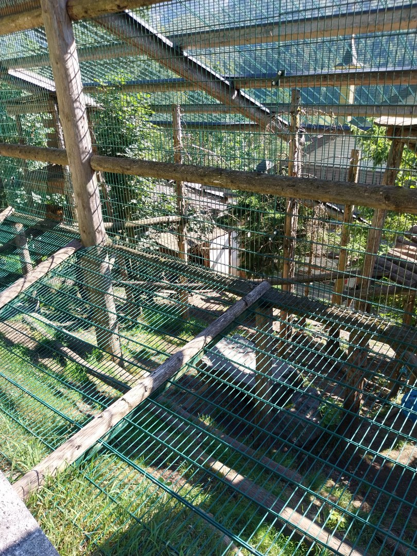 Der Weisser Zoo & Kameltheater Kernhof - North Chinese leopard enclosure