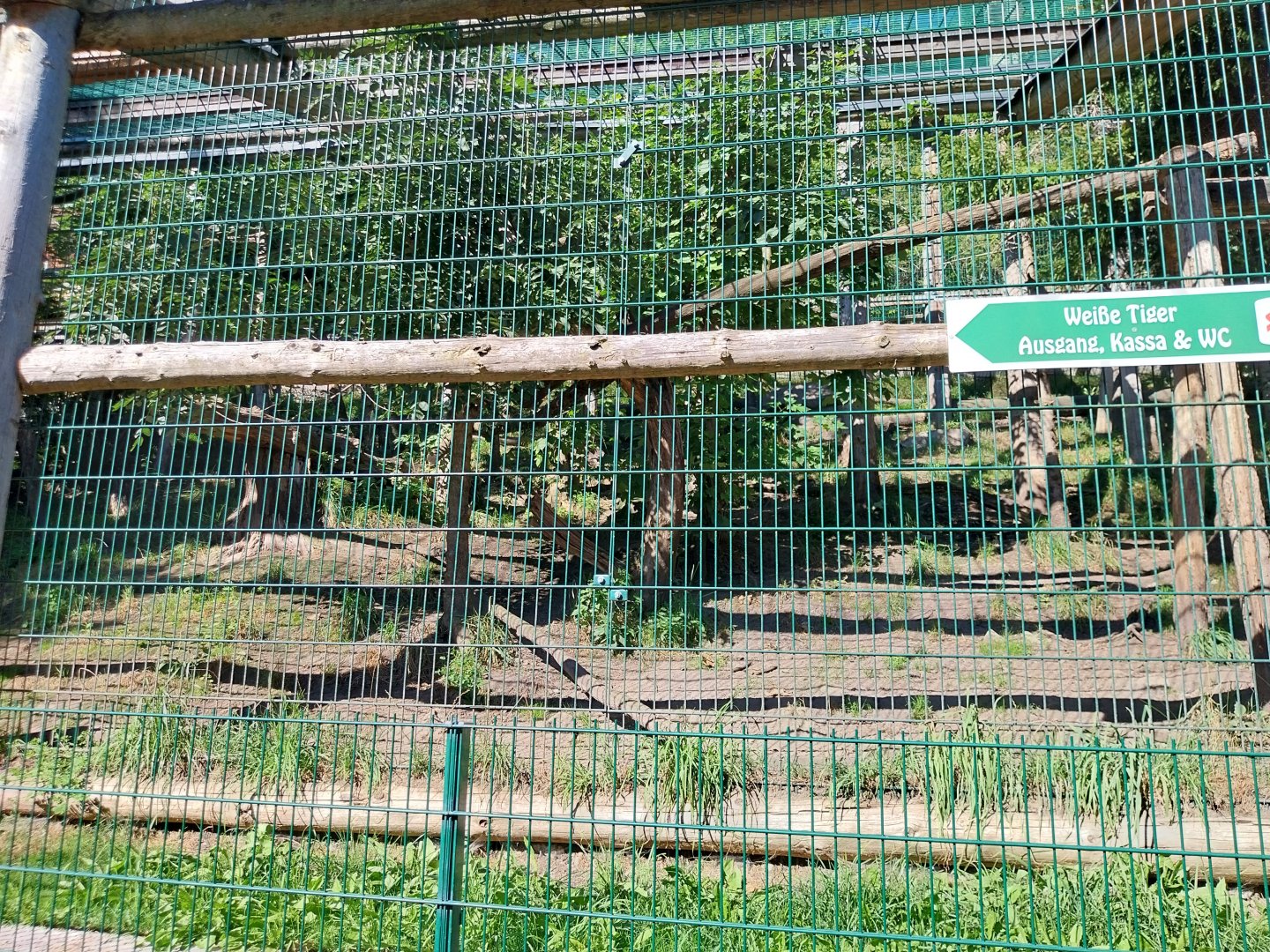 Der Weisser Zoo & Kameltheater Kernhof - North Chinese leopard enclosure