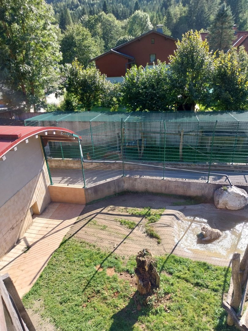 Der Weisser Zoo & Kameltheater Kernhof - Second tiger enclosure & quarantine area