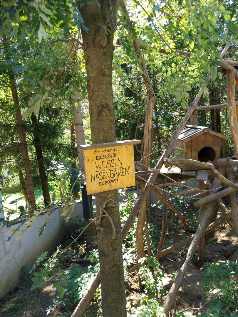 Der Weisser Zoo & Kameltheater Kernhof - South American coati enclosure