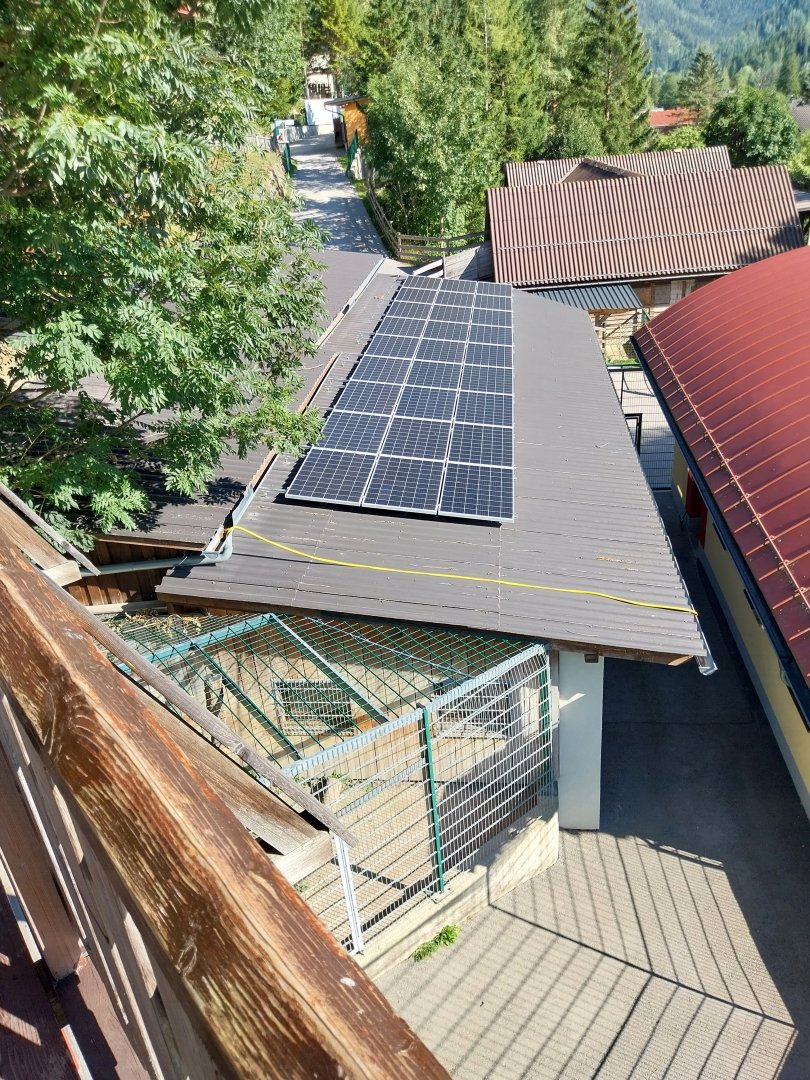 Der Weisser Zoo & Kameltheater Kernhof - Tiger holding 1