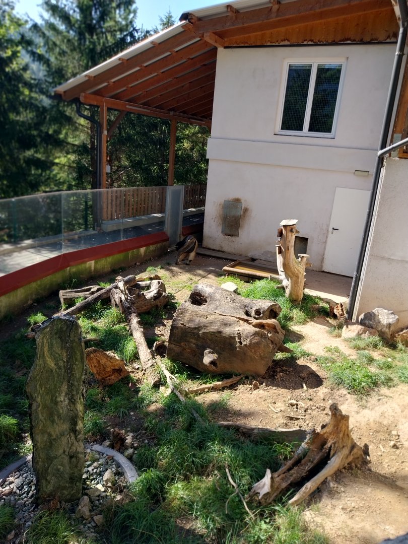Der Weisser Zoo & Kameltheater Kernhof - Tiny giant anteater enclosure