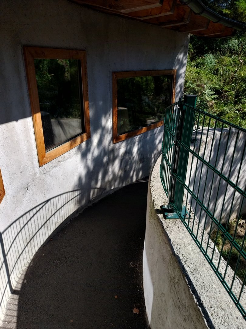 Der Weisser Zoo & Kameltheater Kernhof - Very narrow visitor path jaguarundi enclosure