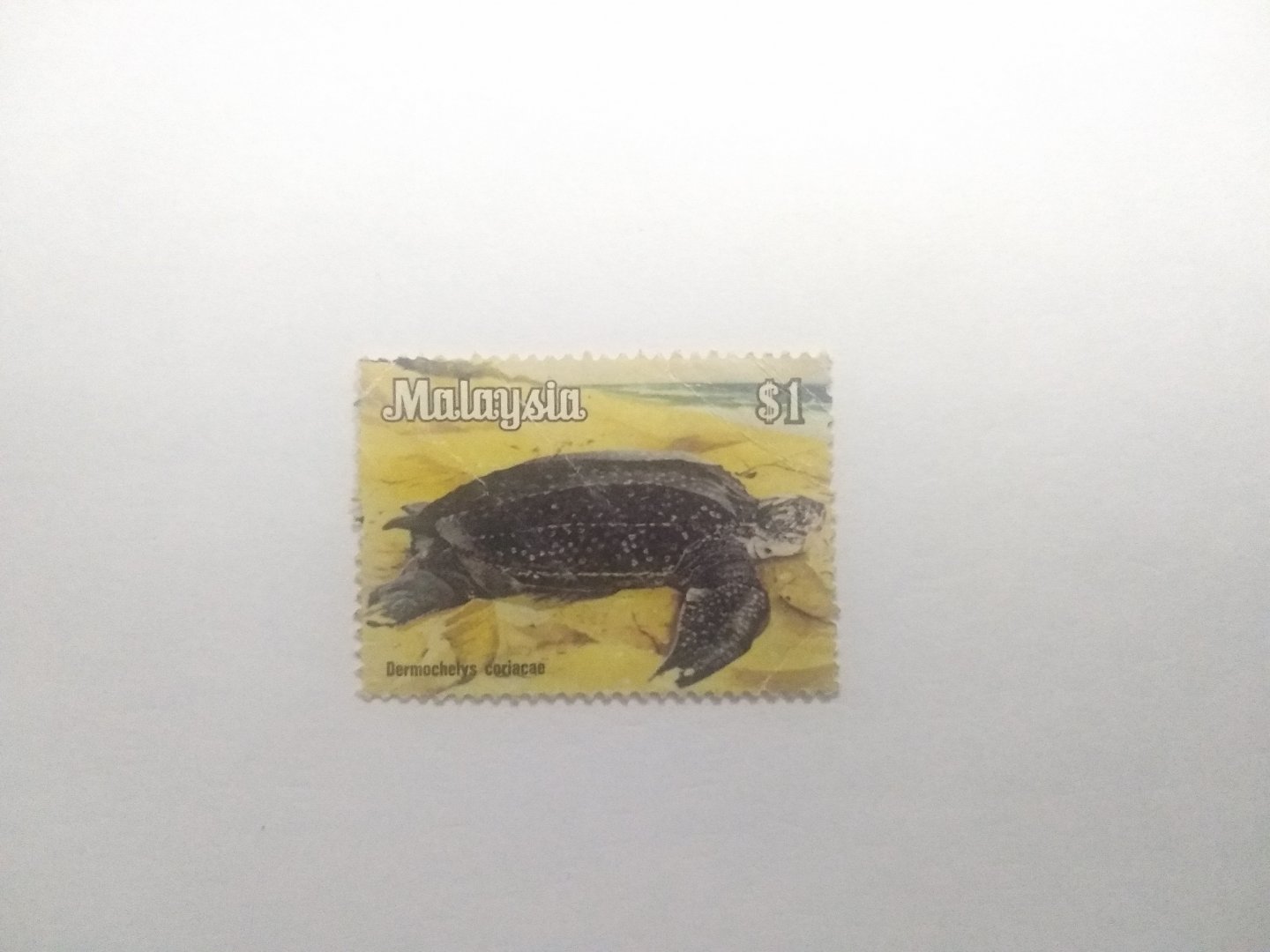 Dermochelys coriacea - Postage stamp Malaysia