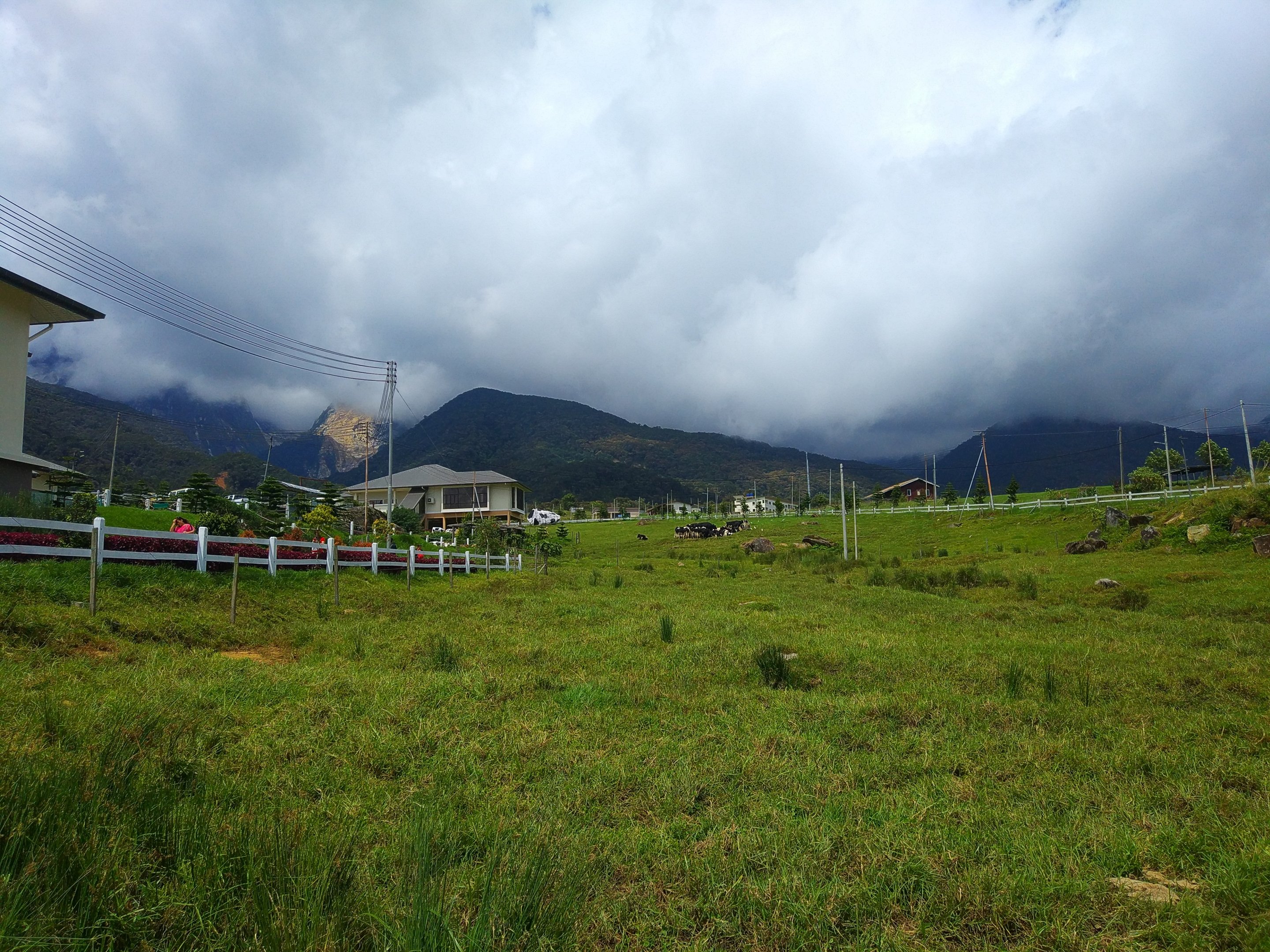 Desa Dairy Farm, Kundasang