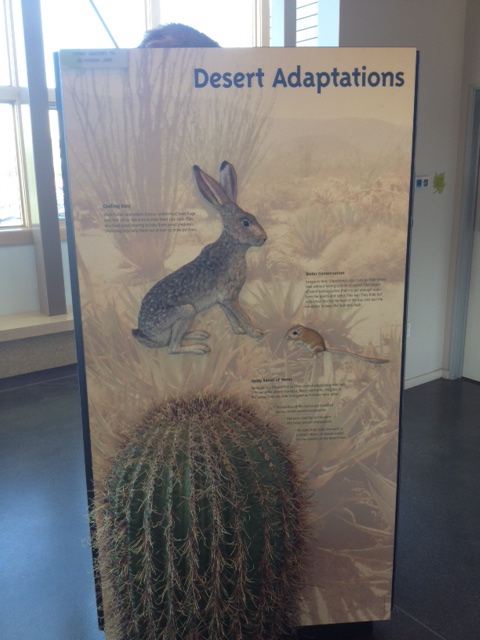 Desert Adaptations Sign