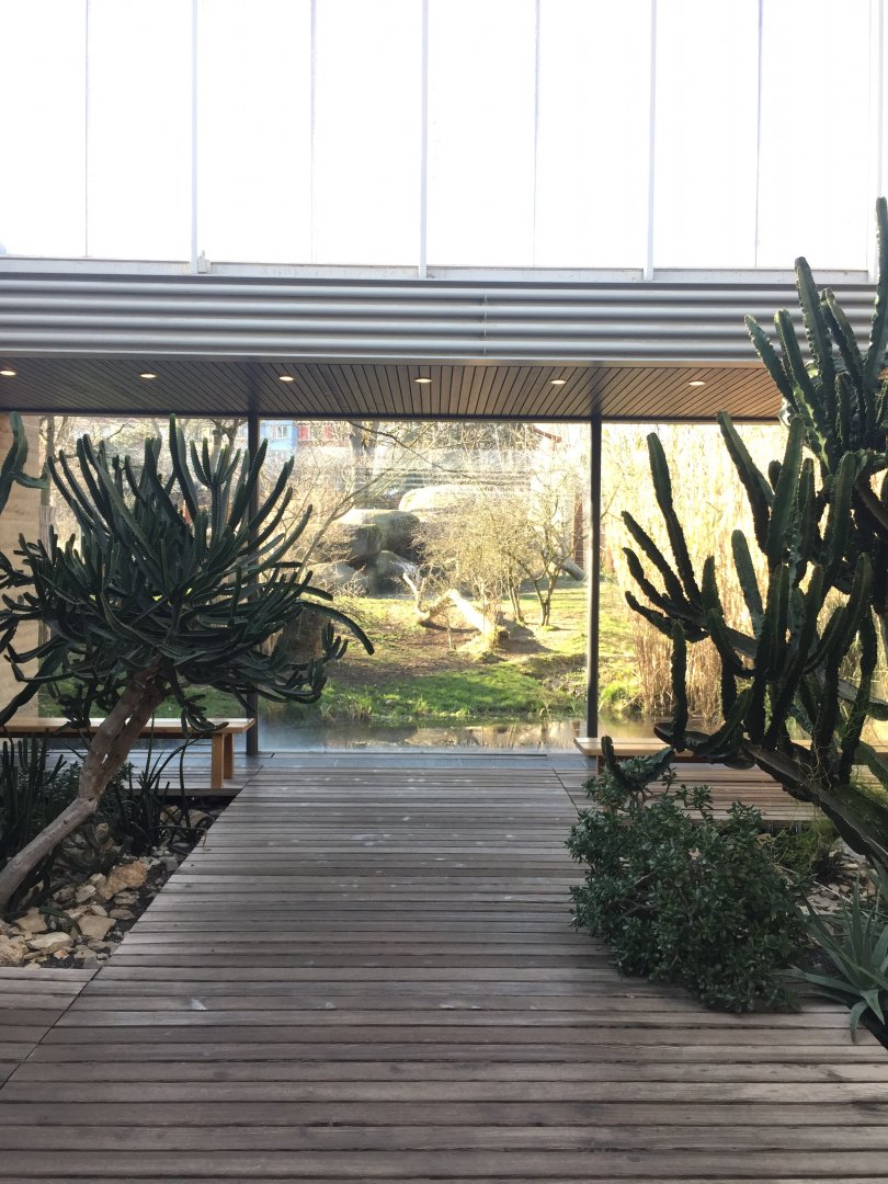Desert/africa house - February 2018