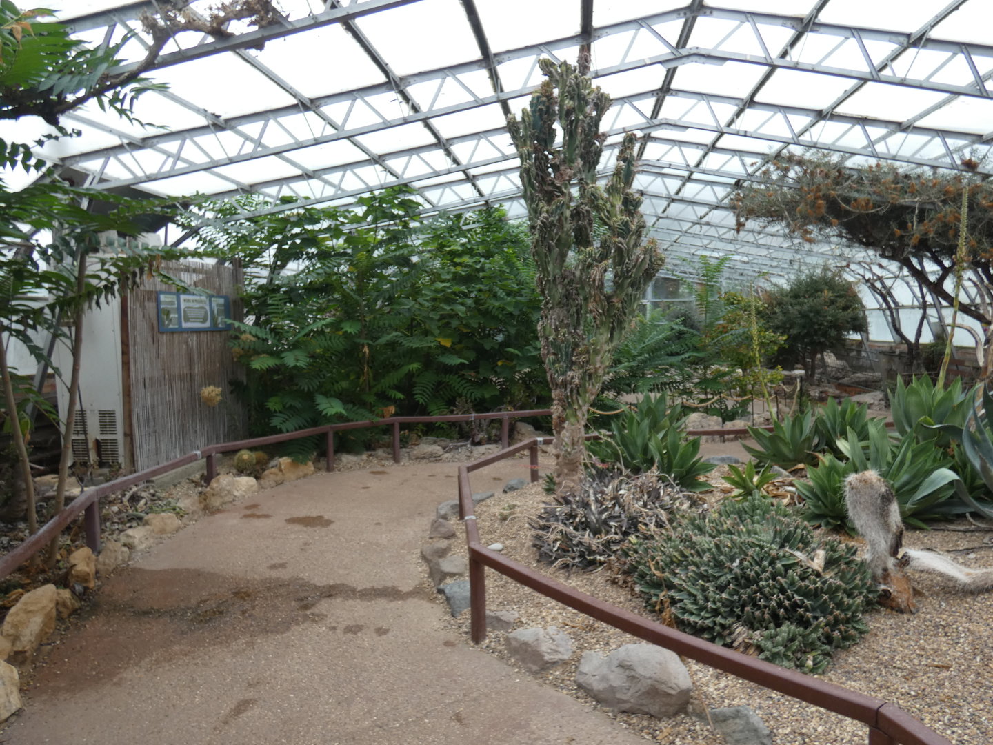 Desert area of the Floral Palace