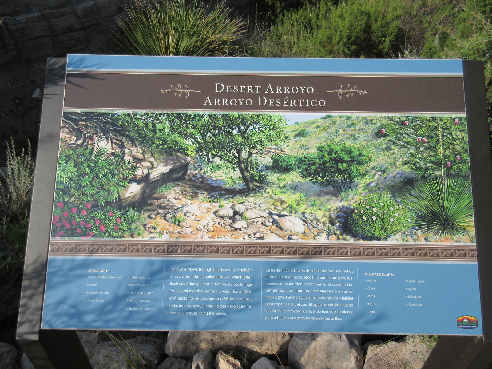Desert Arroyo Sign
