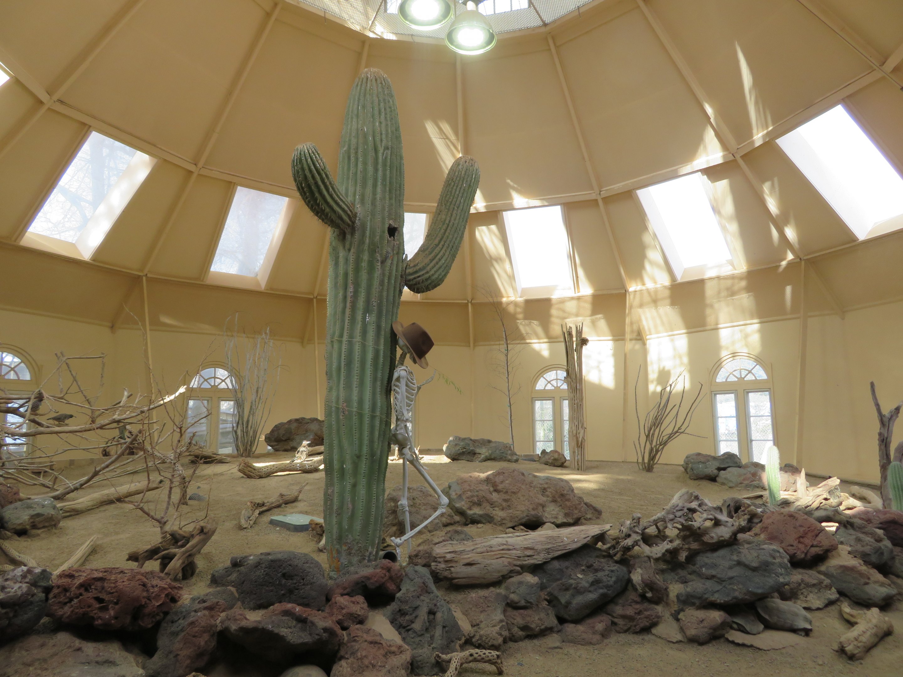 Desert Aviary (4 species)