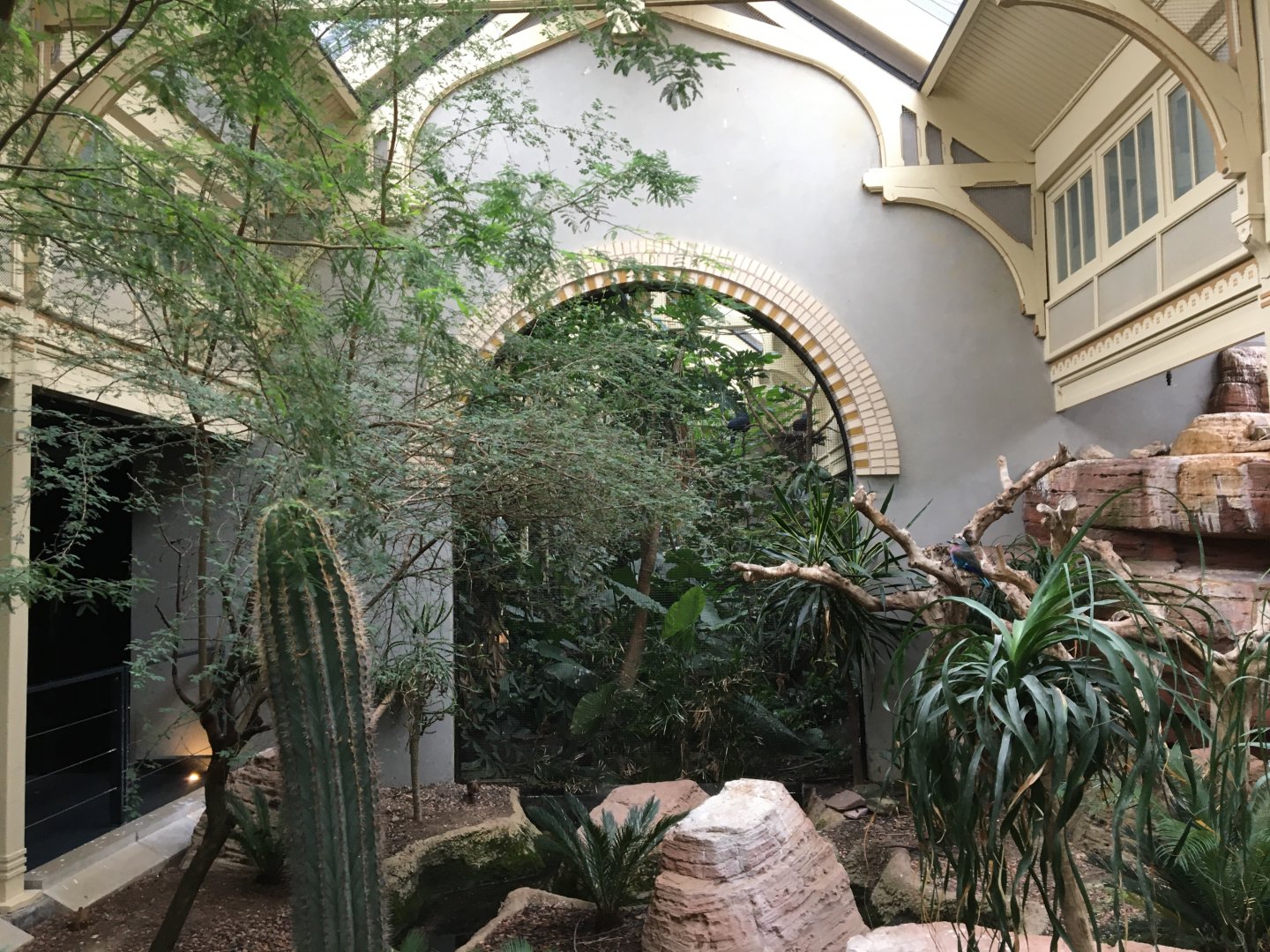 Desert aviary in the birdhouse