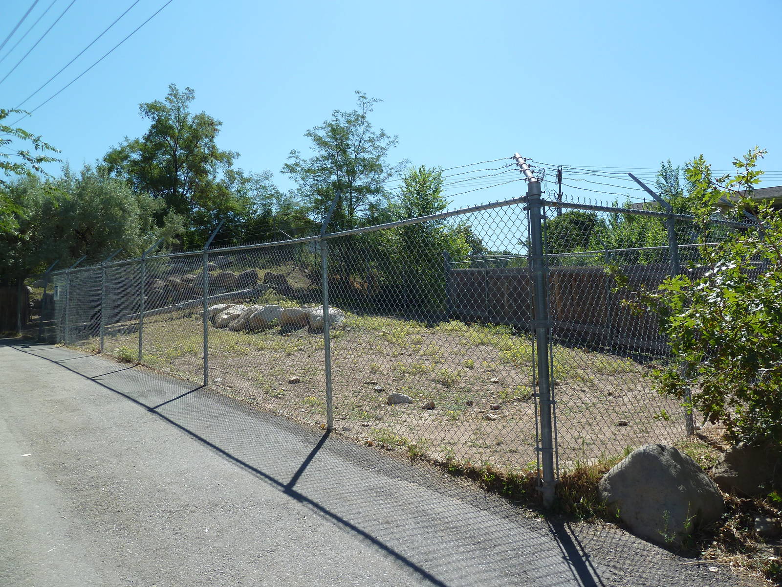 Desert Bighorn Sheep Exhibit