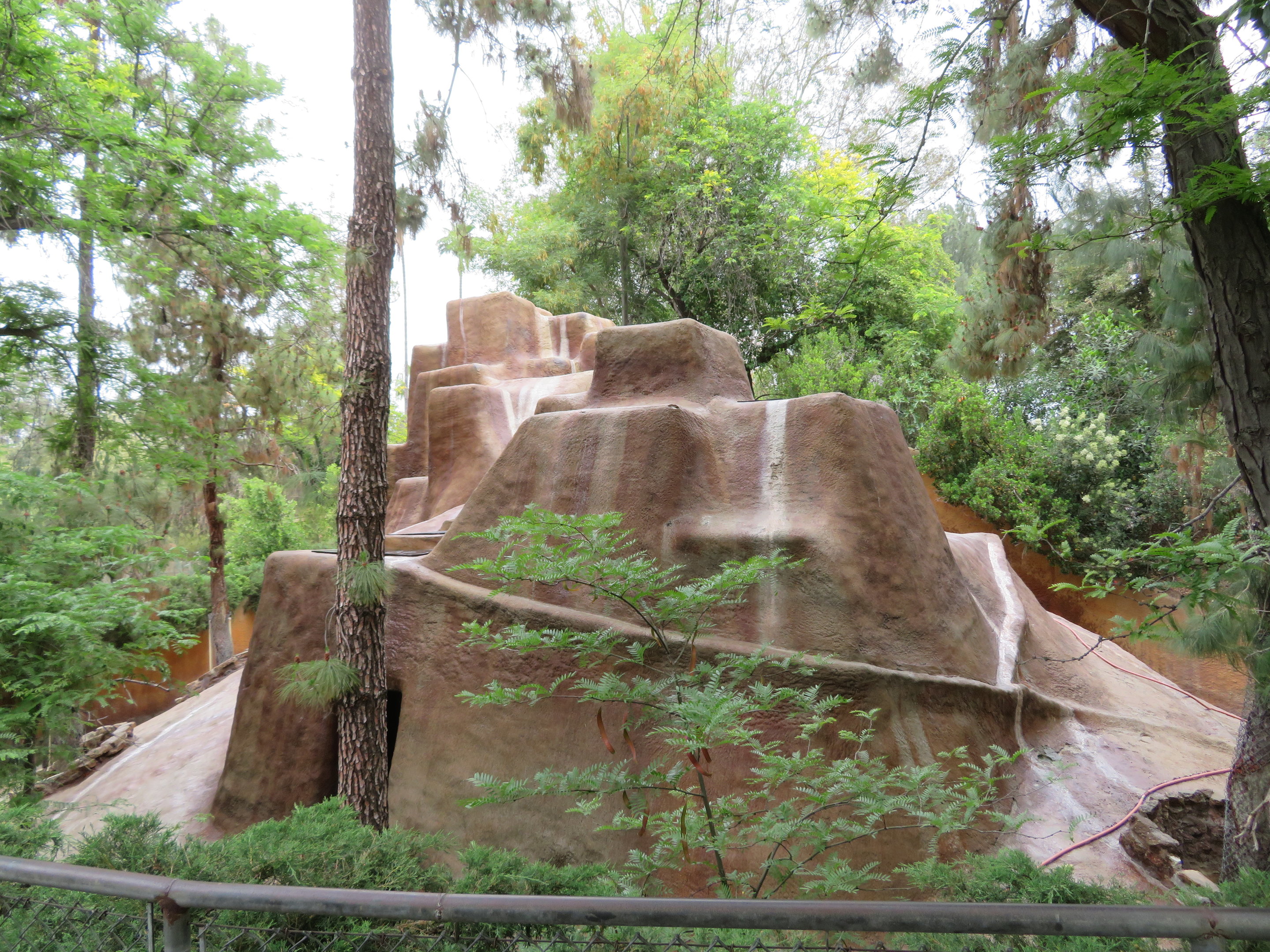 Desert Bighorn Sheep Exhibit