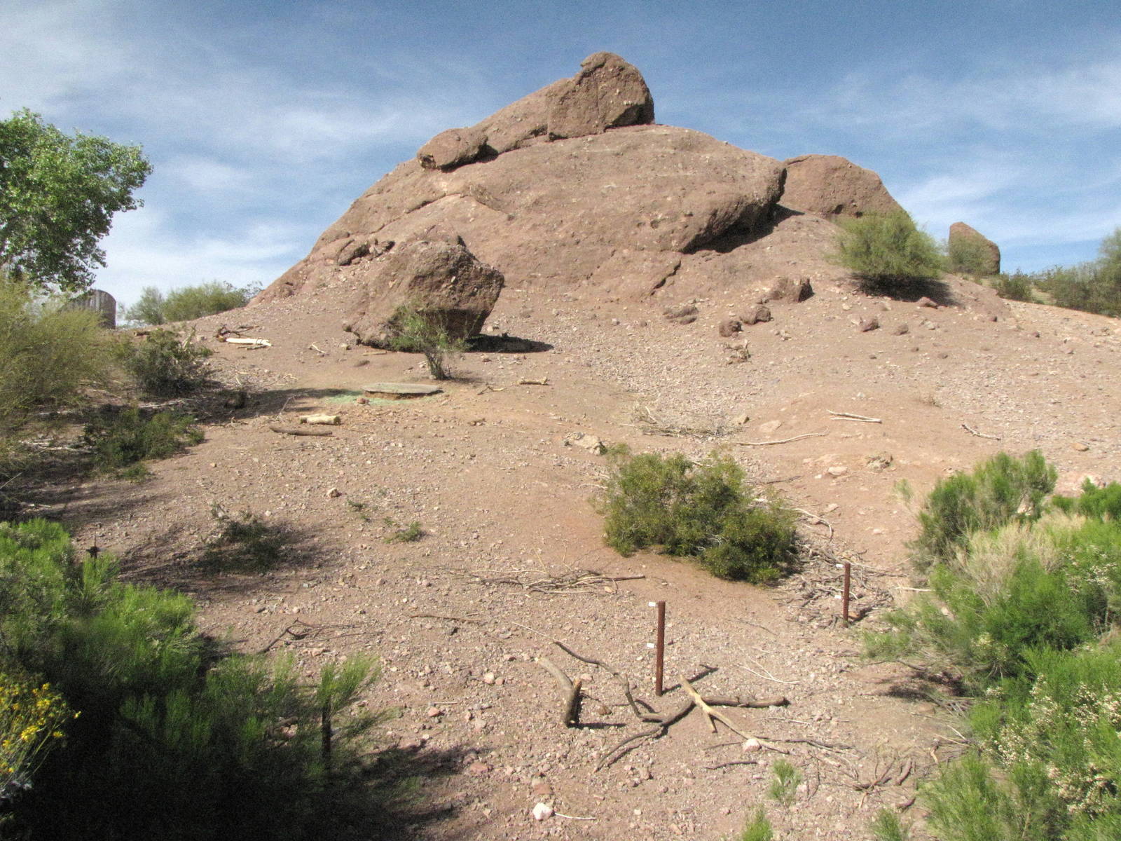 Desert Bighorn Sheep Habitat