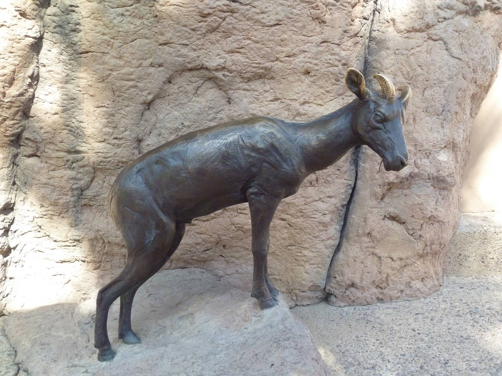 Desert Bighorn Sheep Statue