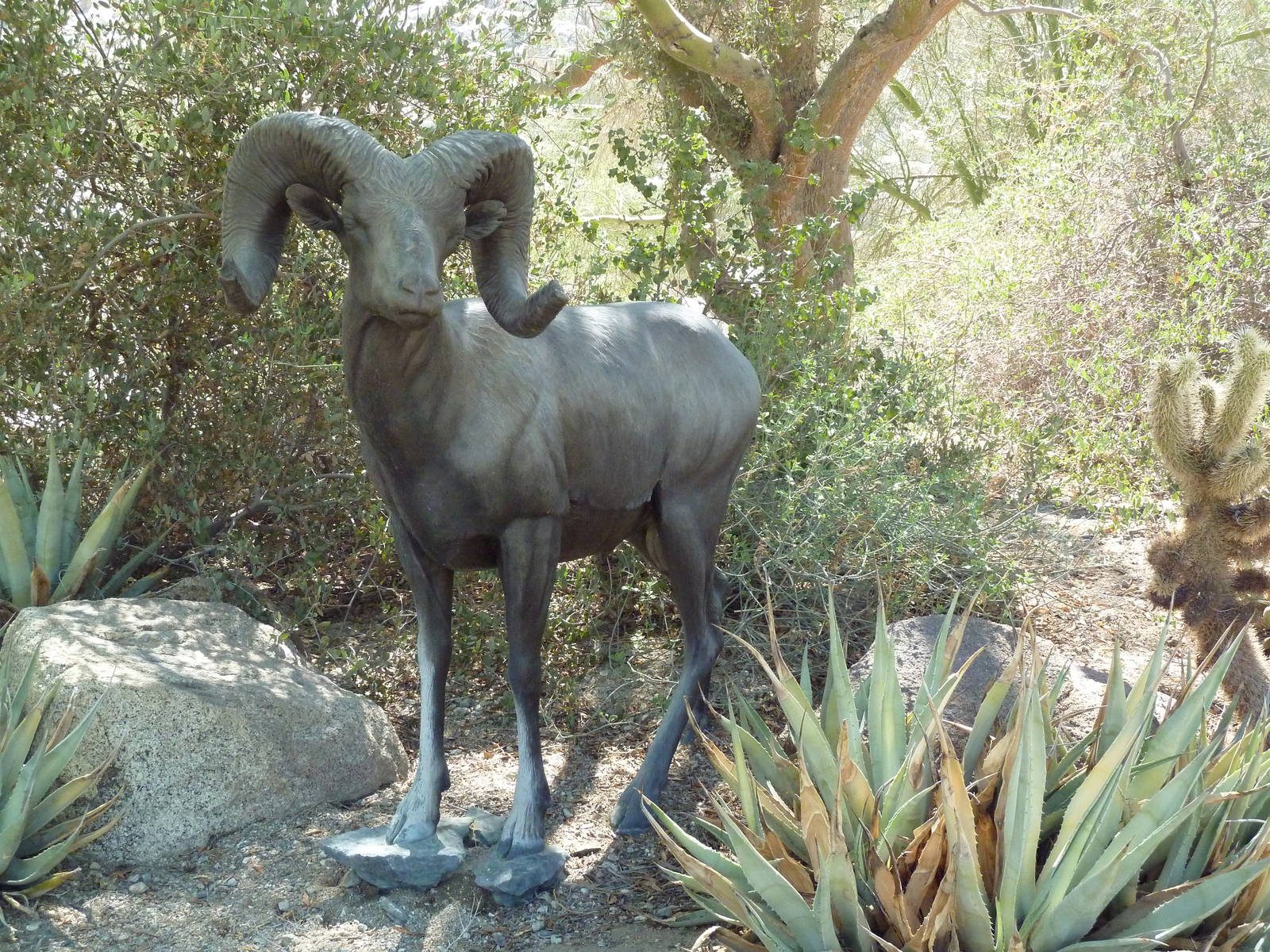 Desert Bighorn Sheep Statue