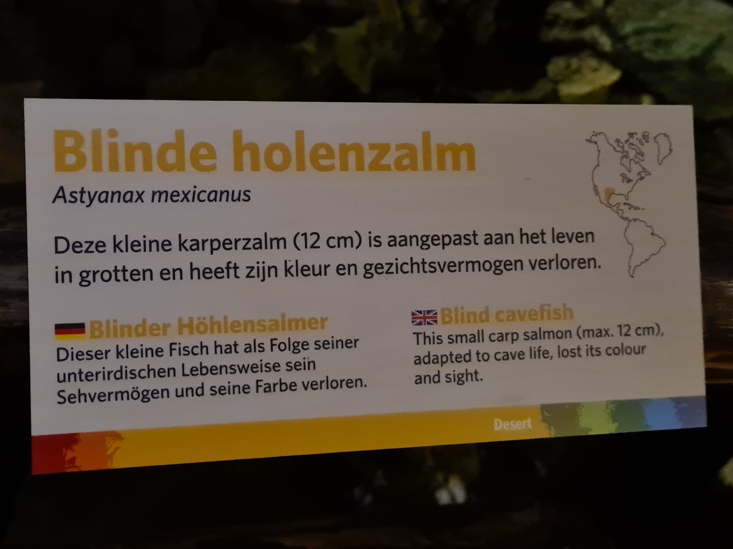 Desert - Blind cave tetra signage