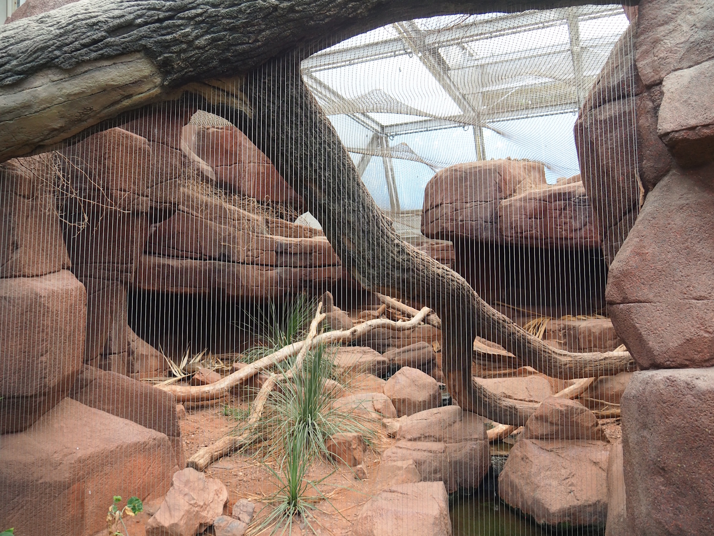 Desert - Bobcat canyon, 2023-10-07