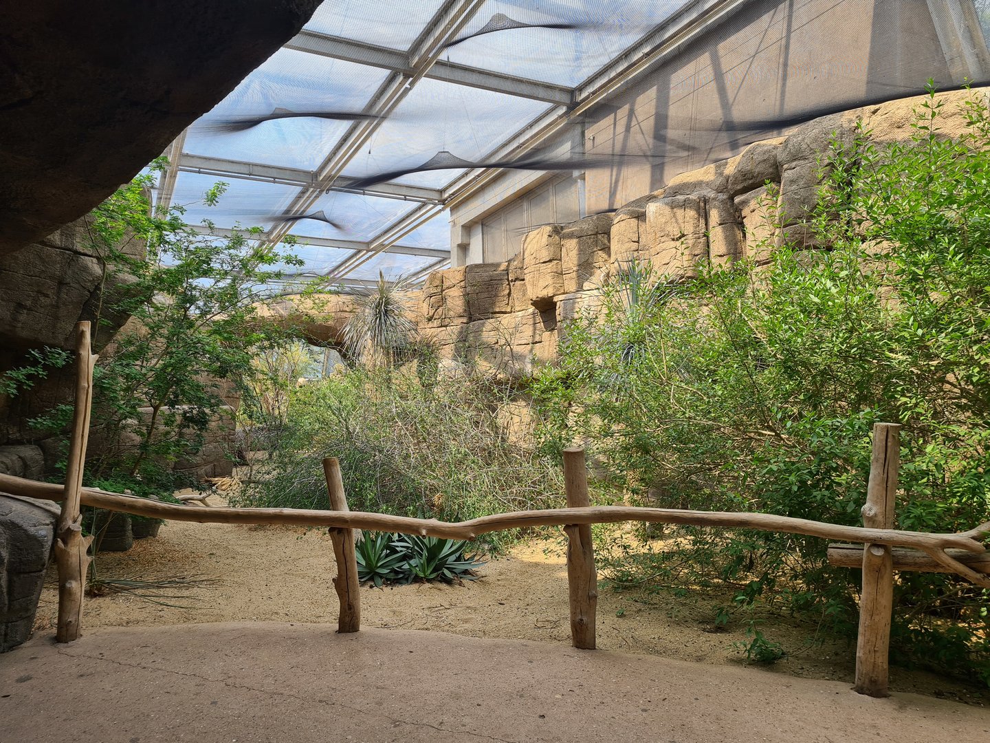Desert - Canyon aviary main area