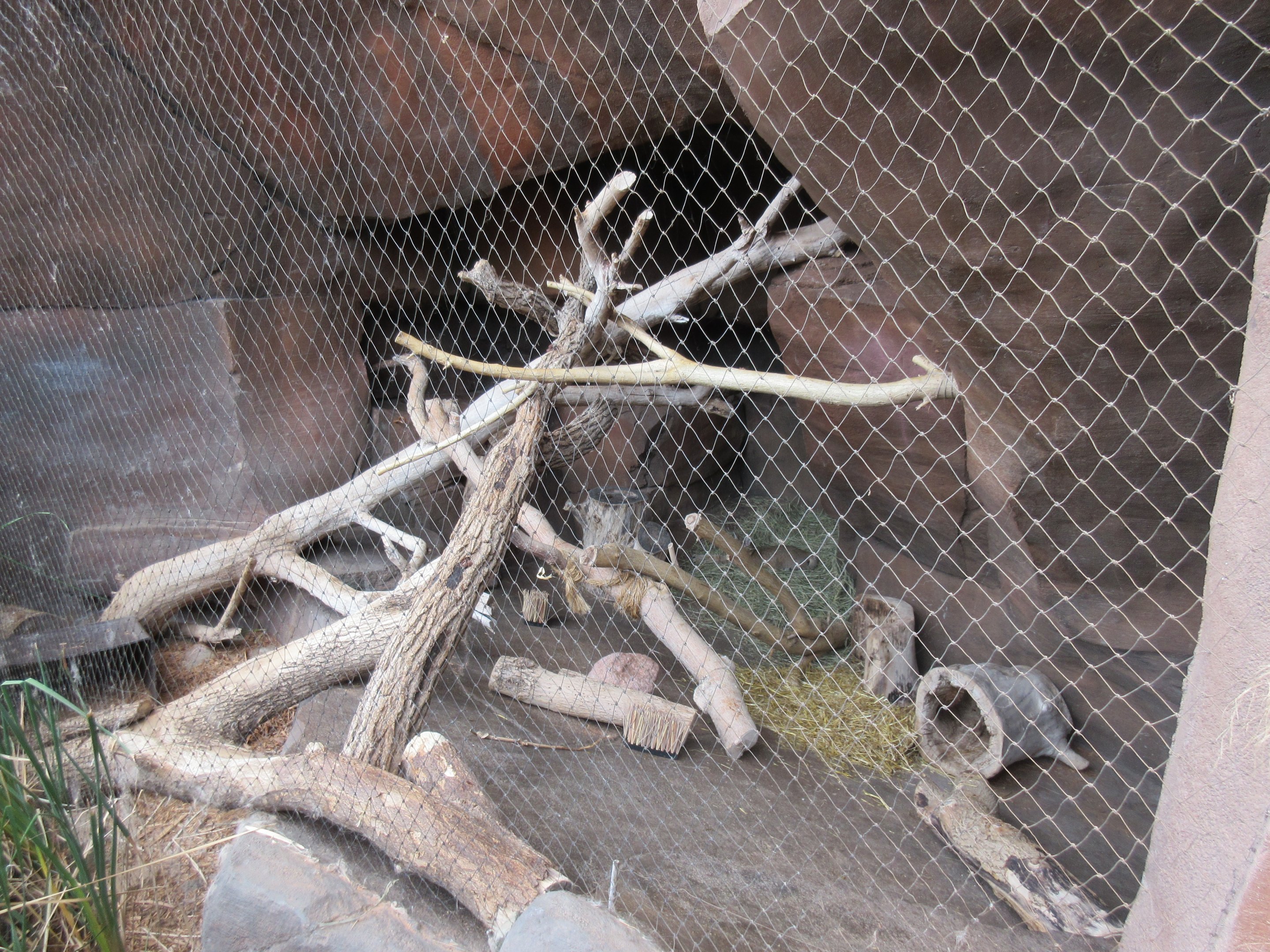 Desert Dome - African Wild Cat Exhibit