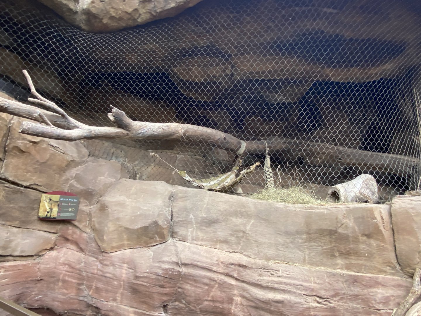 Desert Dome - African Wildcat Exhibit