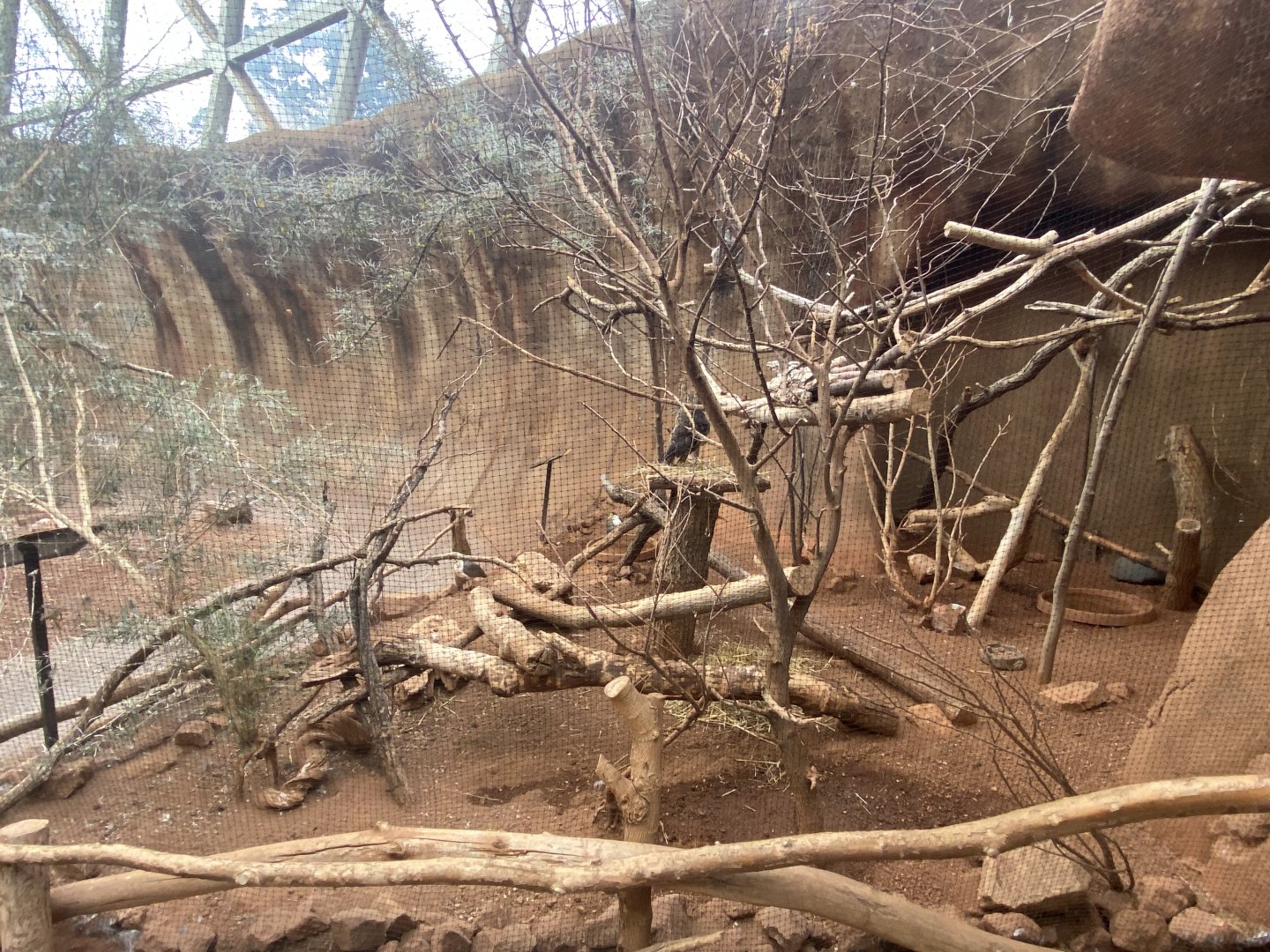 Desert Dome - Australian Aviary