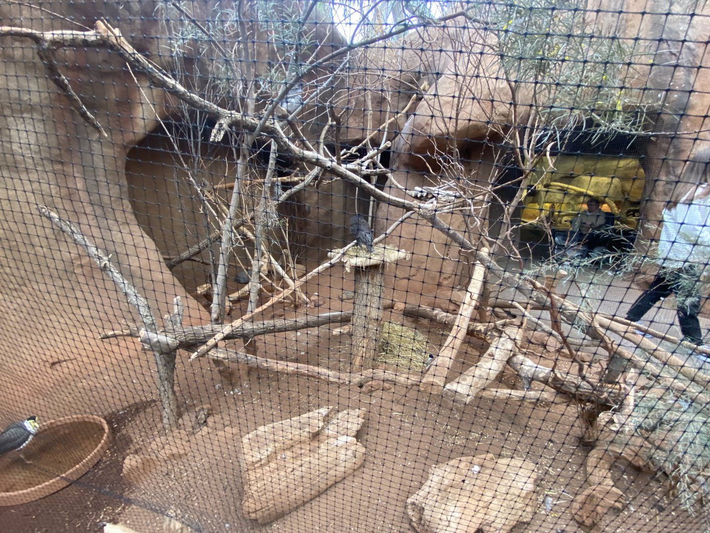 Desert Dome - Australian Aviary