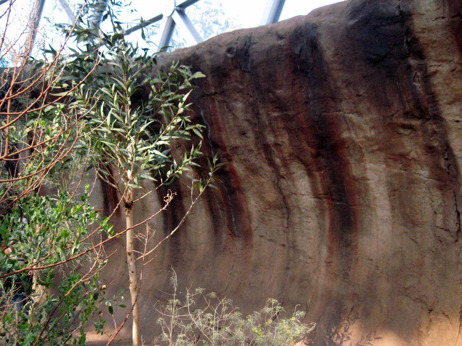 Desert Dome-Australian Desert