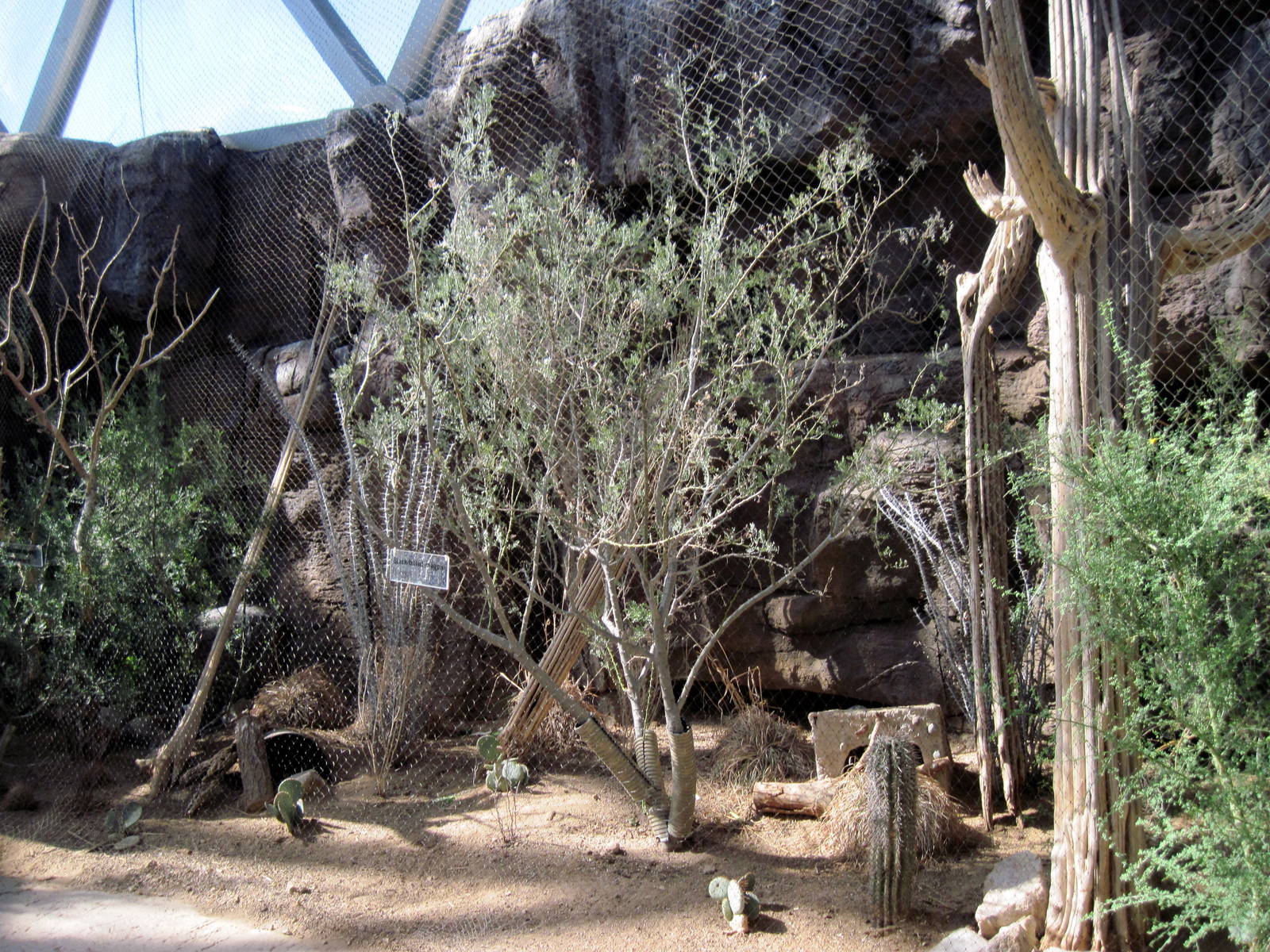 Desert Dome-Black-billed Magpie/Burrowing Owl Exhibit