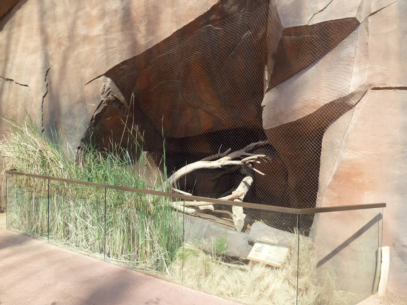 Desert Dome - Black-Footed Cat Exhibit (Atrociously Tiny)
