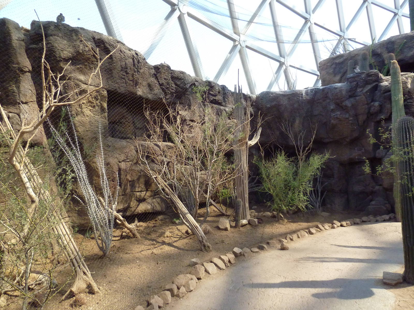 Desert Dome - Burrowing Owl Exhibit