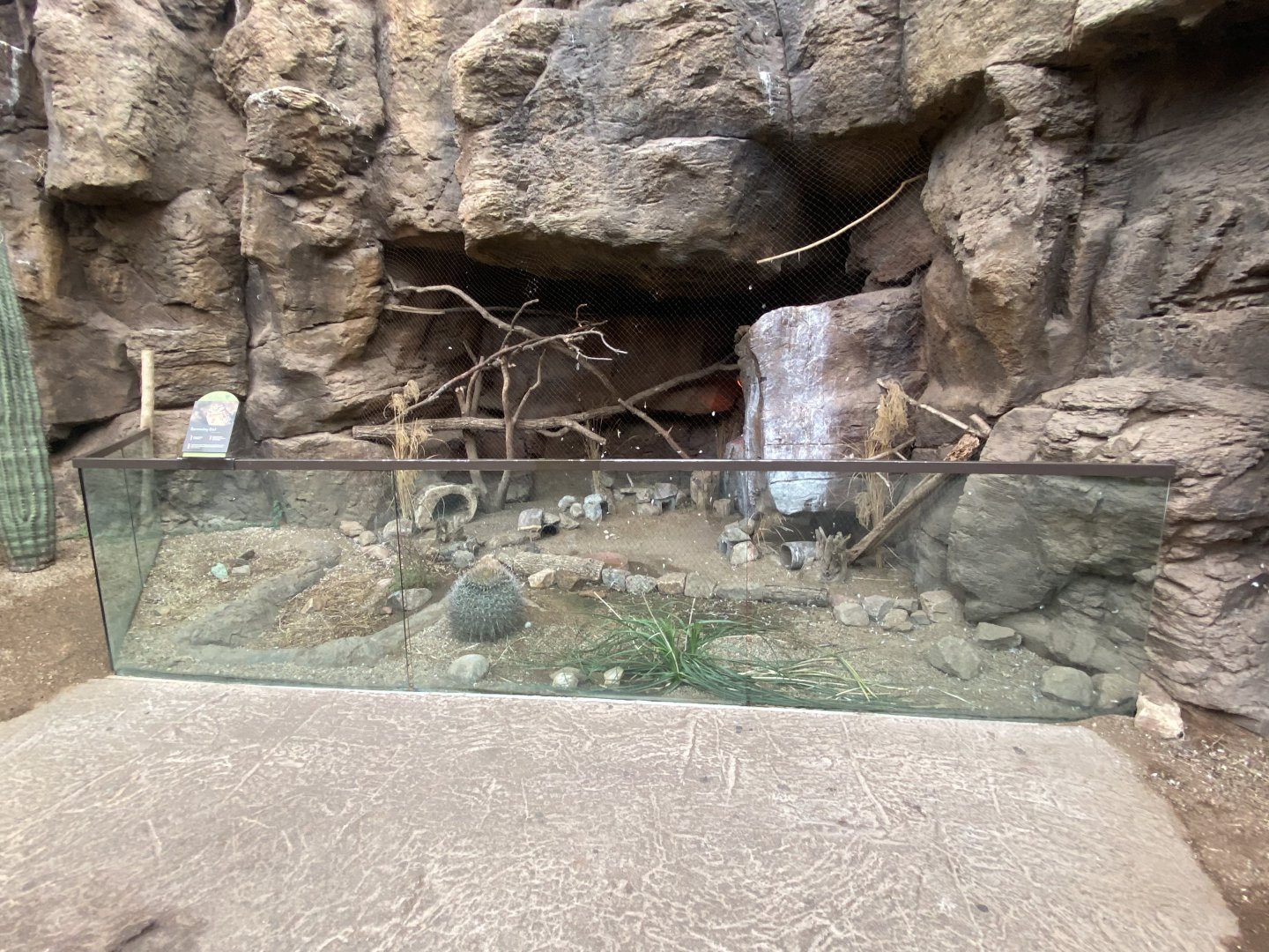 Desert Dome - Burrowing Owl Exhibit