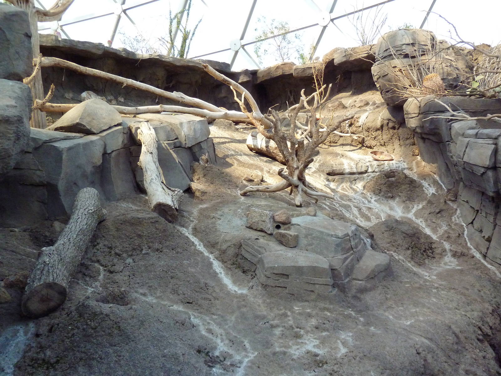 Desert Dome - Desert Cottontail Exhibit