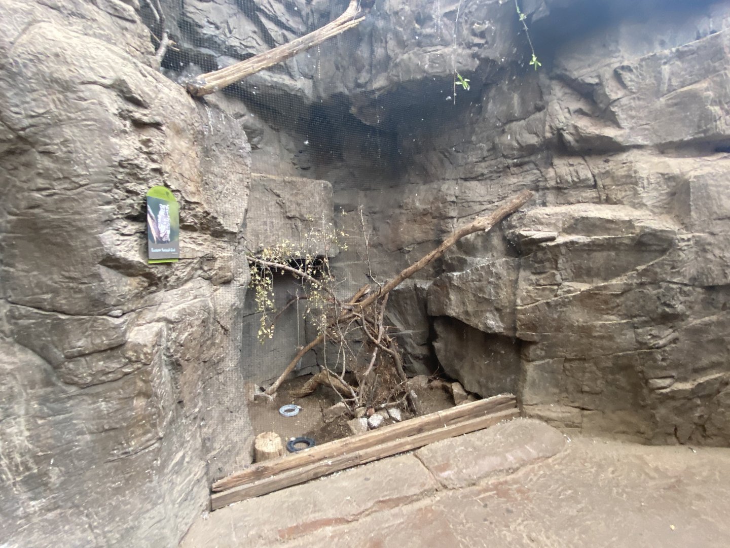 Desert Dome - Eastern Screech Owl Exhibit