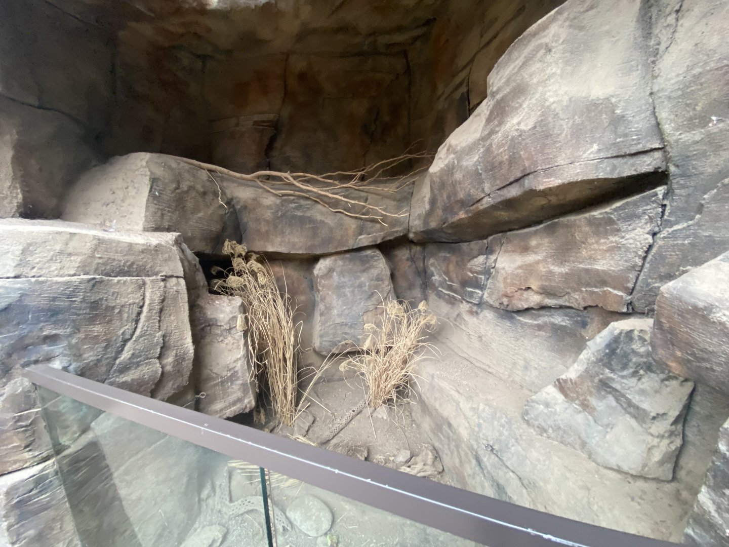 Desert Dome - Empty Exhibit