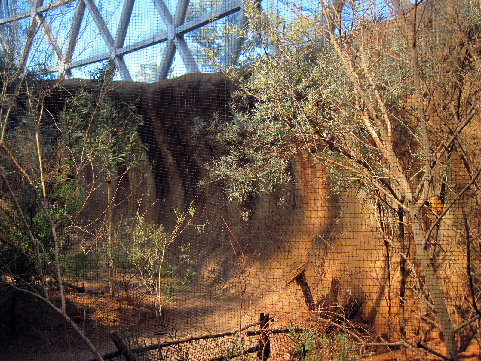 Desert Dome-Finch Aviary