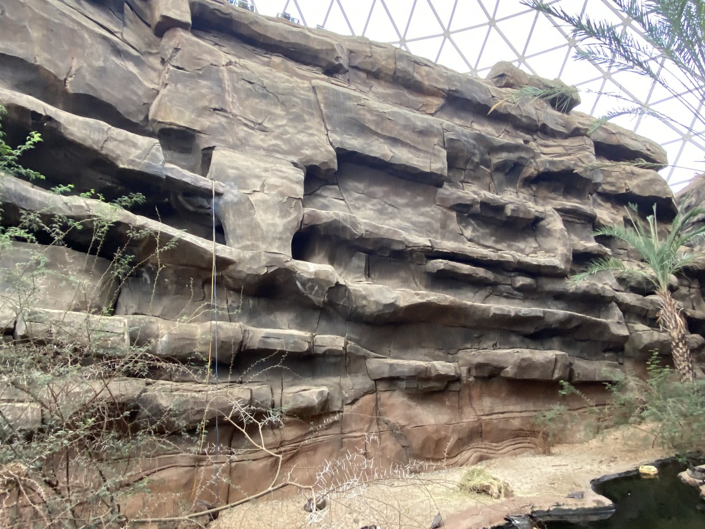 Desert Dome - Former Rock Hyrax Ledges
