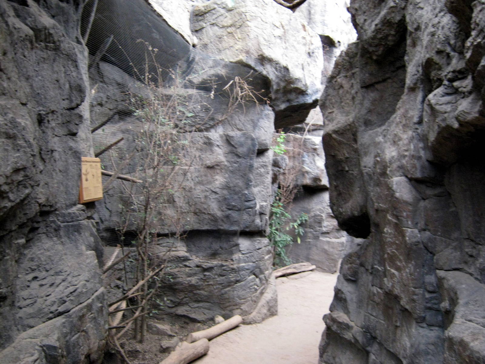 Desert Dome-Hummingbird Canyon
