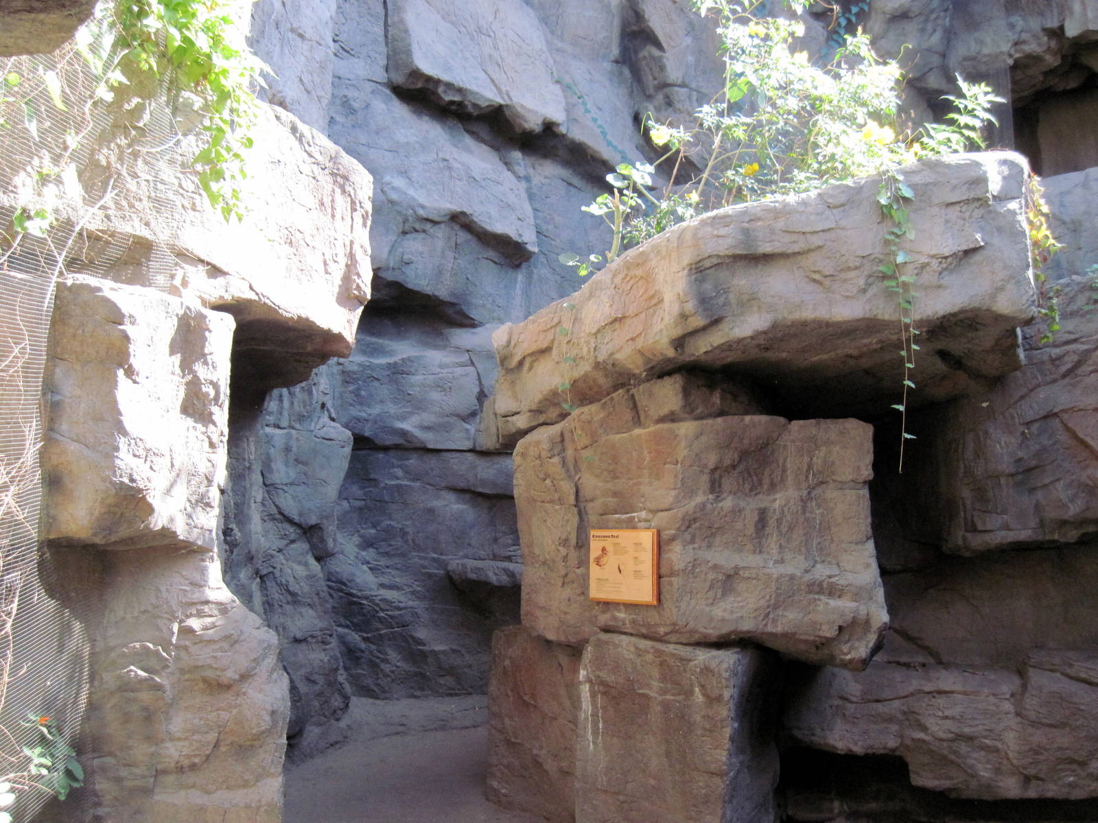 Desert Dome-Hummingbird Canyon