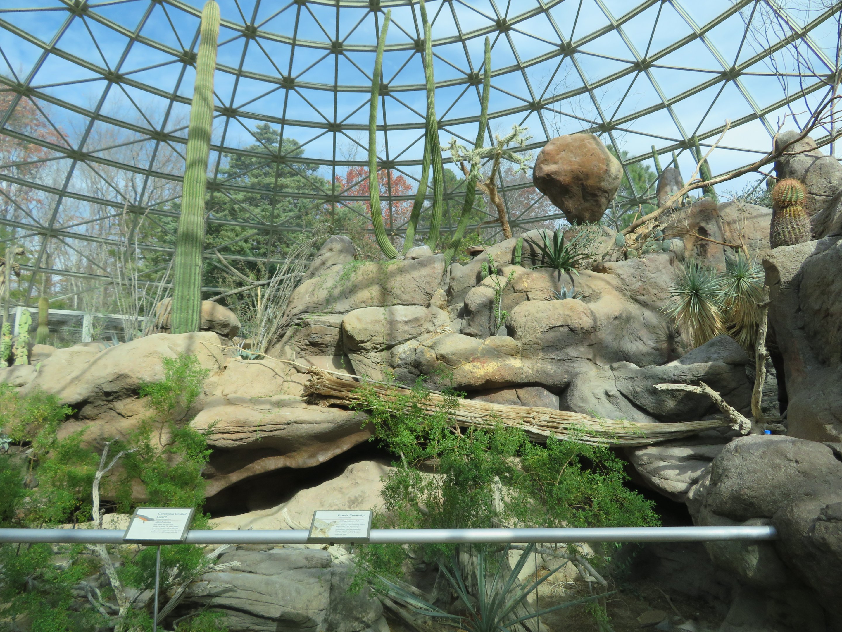 Desert Dome Interior
