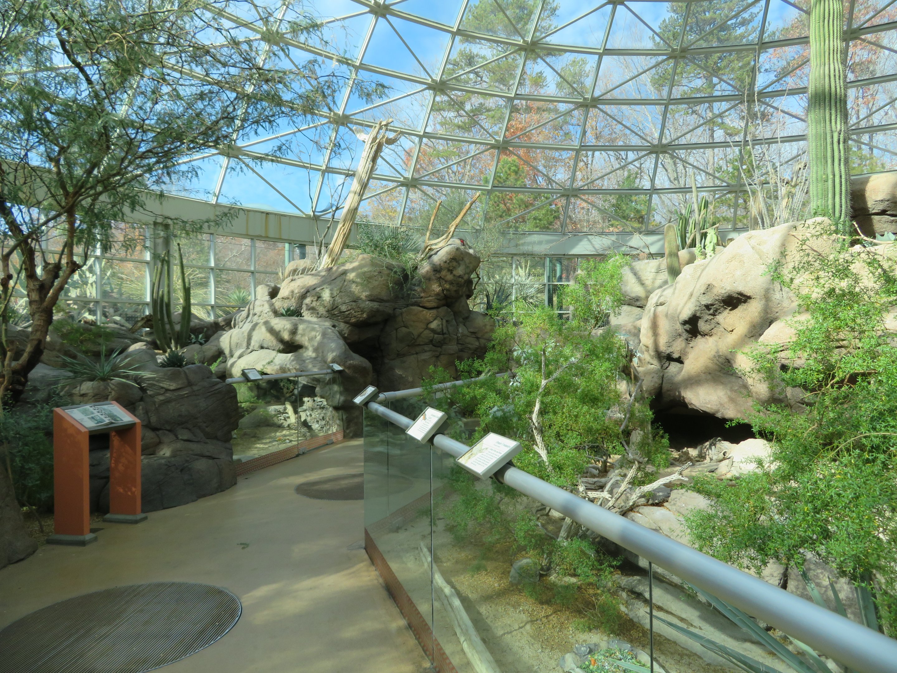 Desert Dome Interior