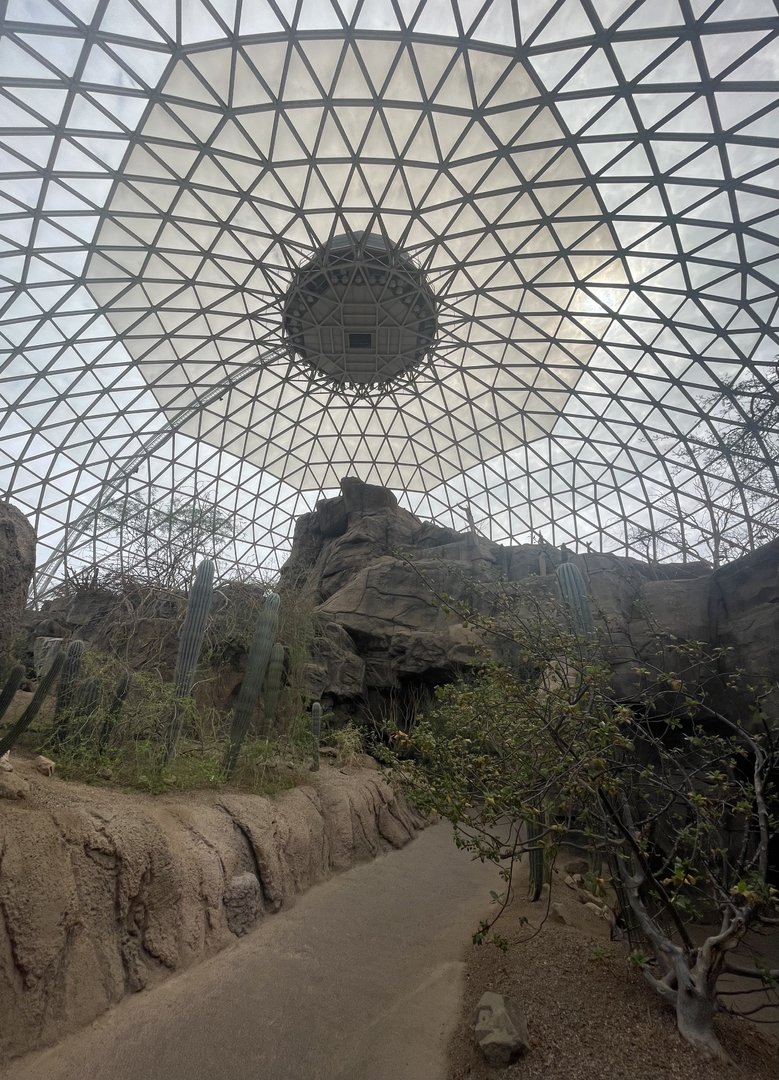 Desert Dome Interior