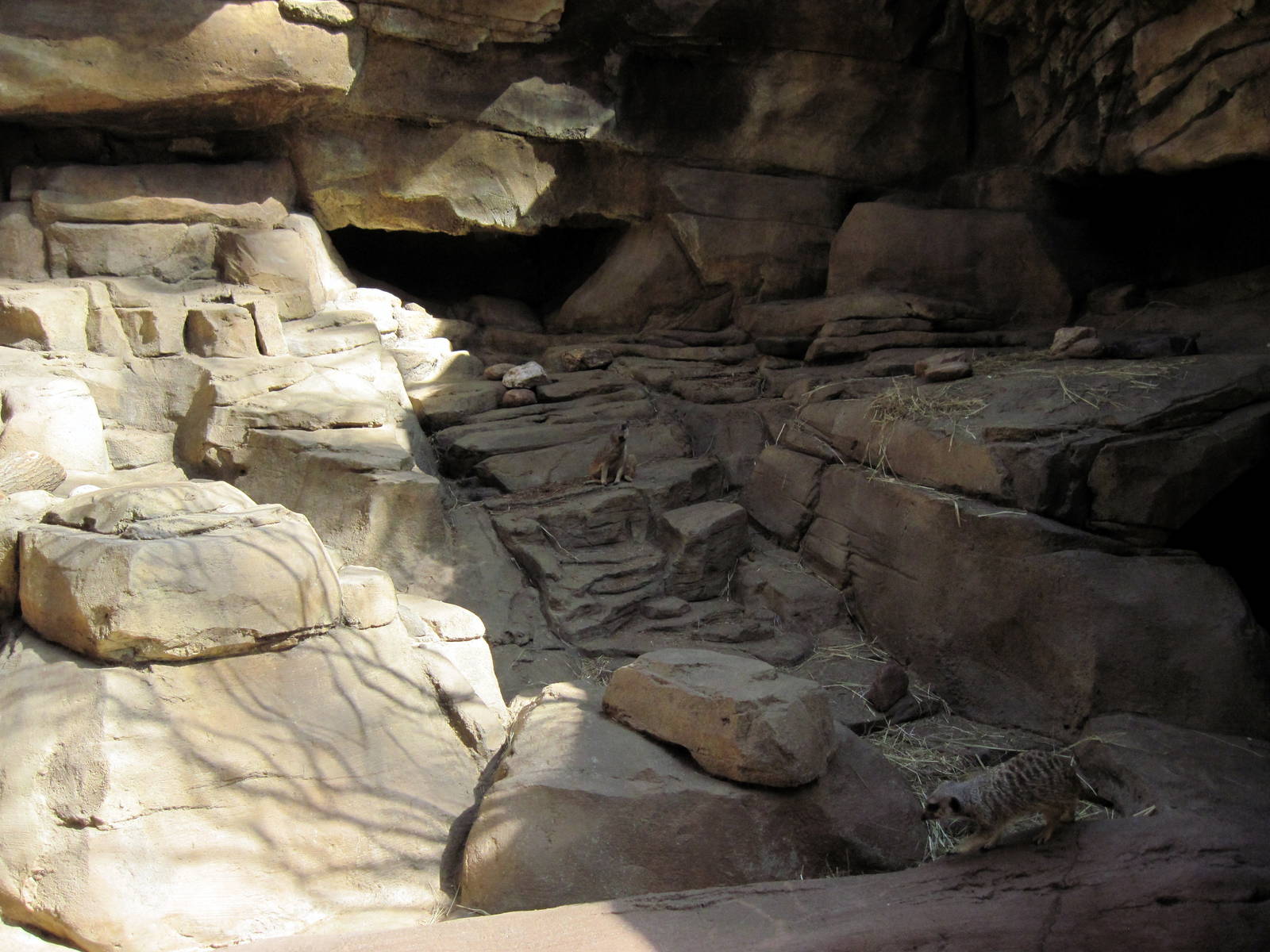 Desert Dome-Meerkat/Former Klipspringer Exhibit